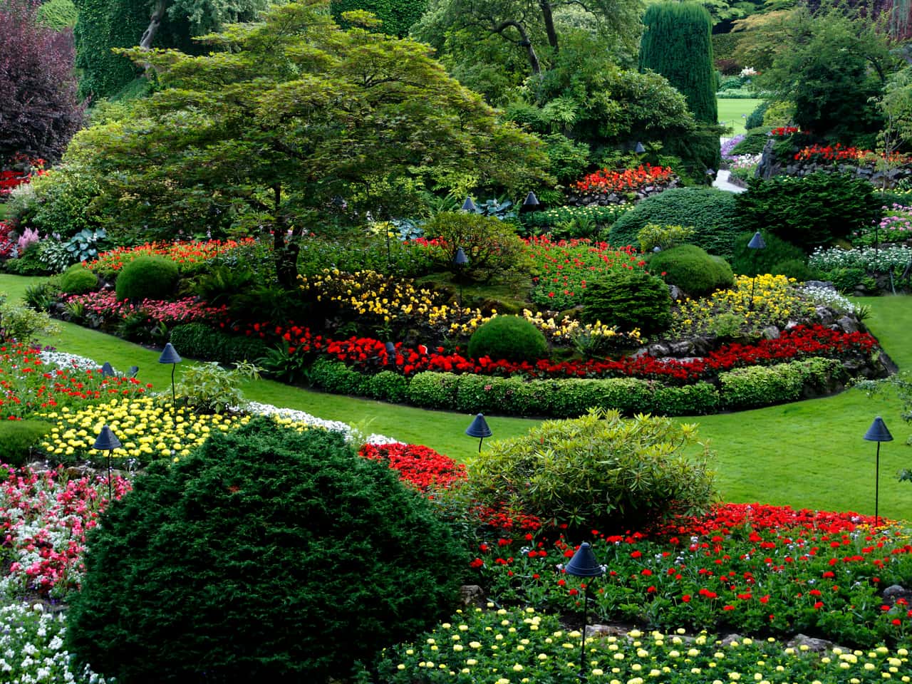 Jardin paysager luxuriant aux massifs de fleurs colorés